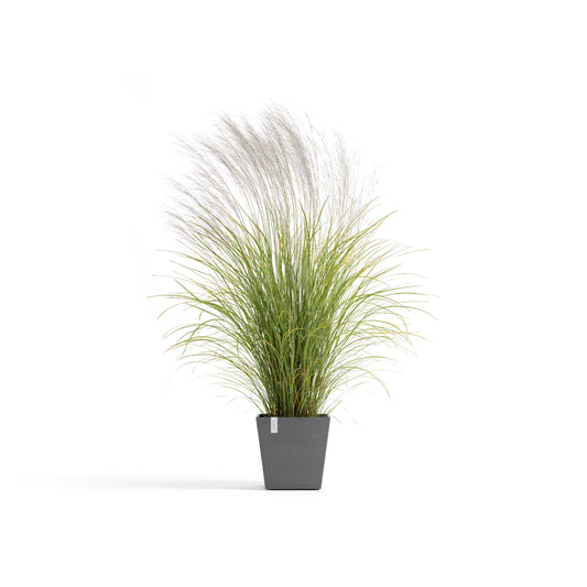 Kukkaruukku Rotterdam design 35cm harmaa – kasvin kanssa