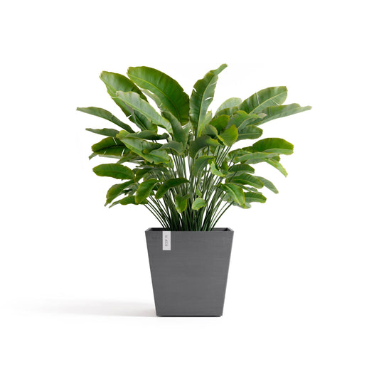 Kukkaruukku Rotterdam design 45cm harmaa – kasvin kanssa