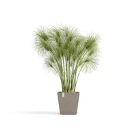 Kukkaruukku Rotterdam design 25cm taupe