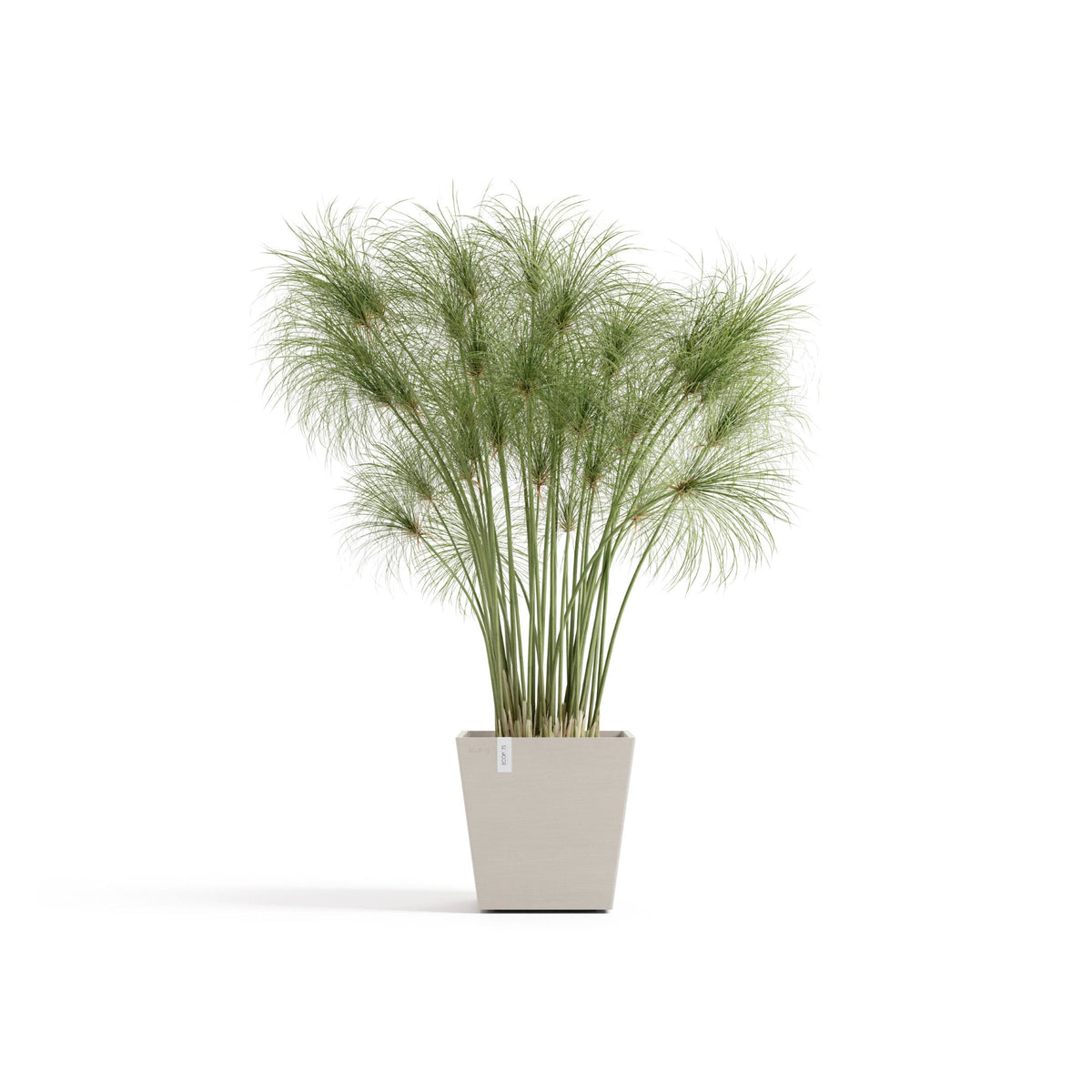 Kukkaruukku Rotterdam design 25cm hiekka – kasvin kanssa