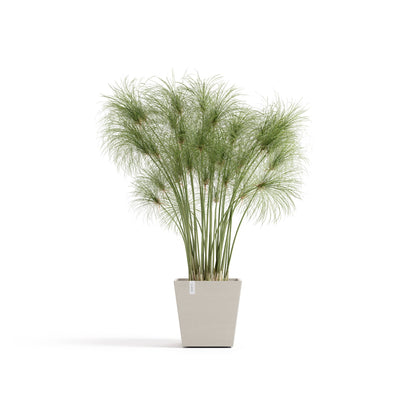 Kukkaruukku Rotterdam design 25cm hiekka – kasvin kanssa