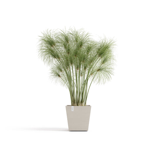 Kukkaruukku Rotterdam design 25cm hiekka – kasvin kanssa