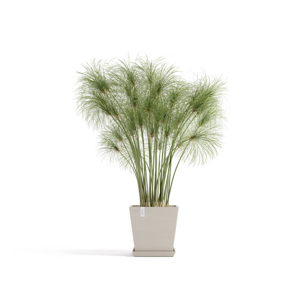 Kukkaruukku Rotterdam design 25cm hiekka – aluslautasen ja kasvin kanssa