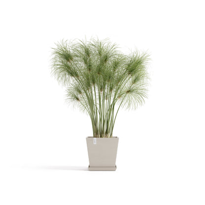 Kukkaruukku Rotterdam design 25cm hiekka – aluslautasen ja kasvin kanssa
