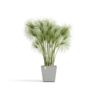 Lillepott Rotterdam design 25cm valgehall