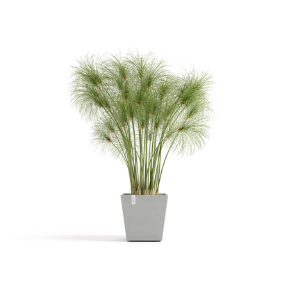 Kukkaruukku Rotterdam design 25cm valkoharmaa – kasvin kanssa