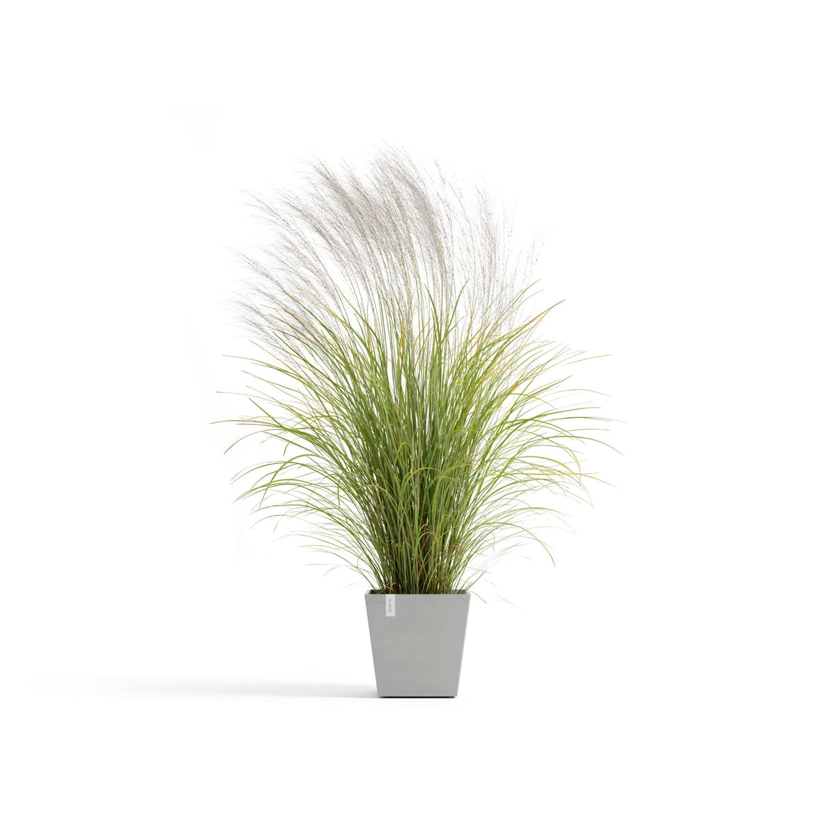 Kukkaruukku Rotterdam design 35cm valkoharmaa – kasvin kanssa
