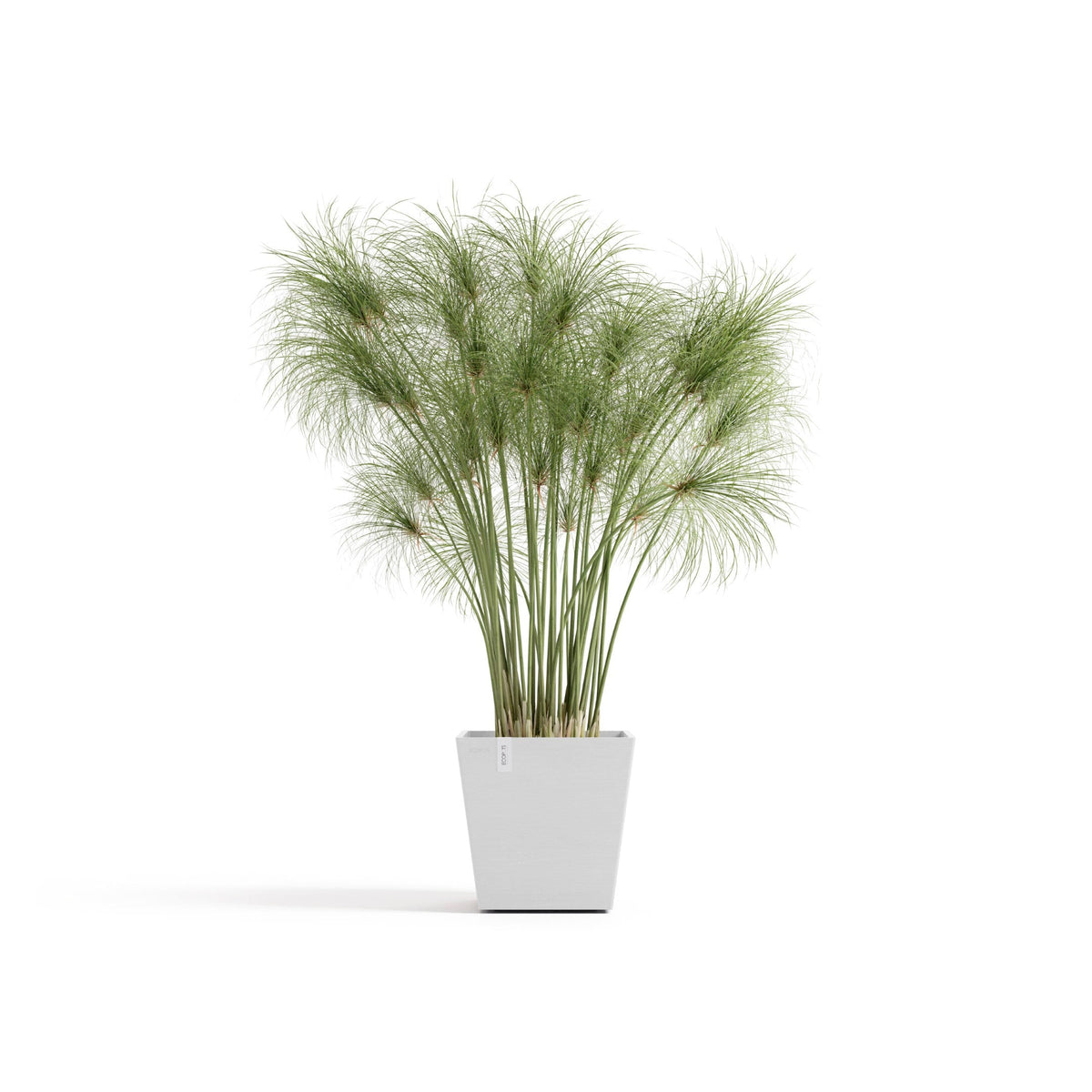 Kukkaruukku Rotterdam design 25cm valkoinen – kasvin kanssa