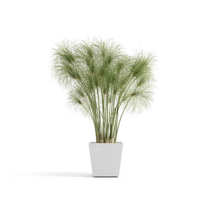 Kukkaruukku Rotterdam design 25cm valkoinen – kasvin kanssa