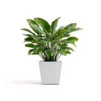 Lillepott Rotterdam design 45cm valge