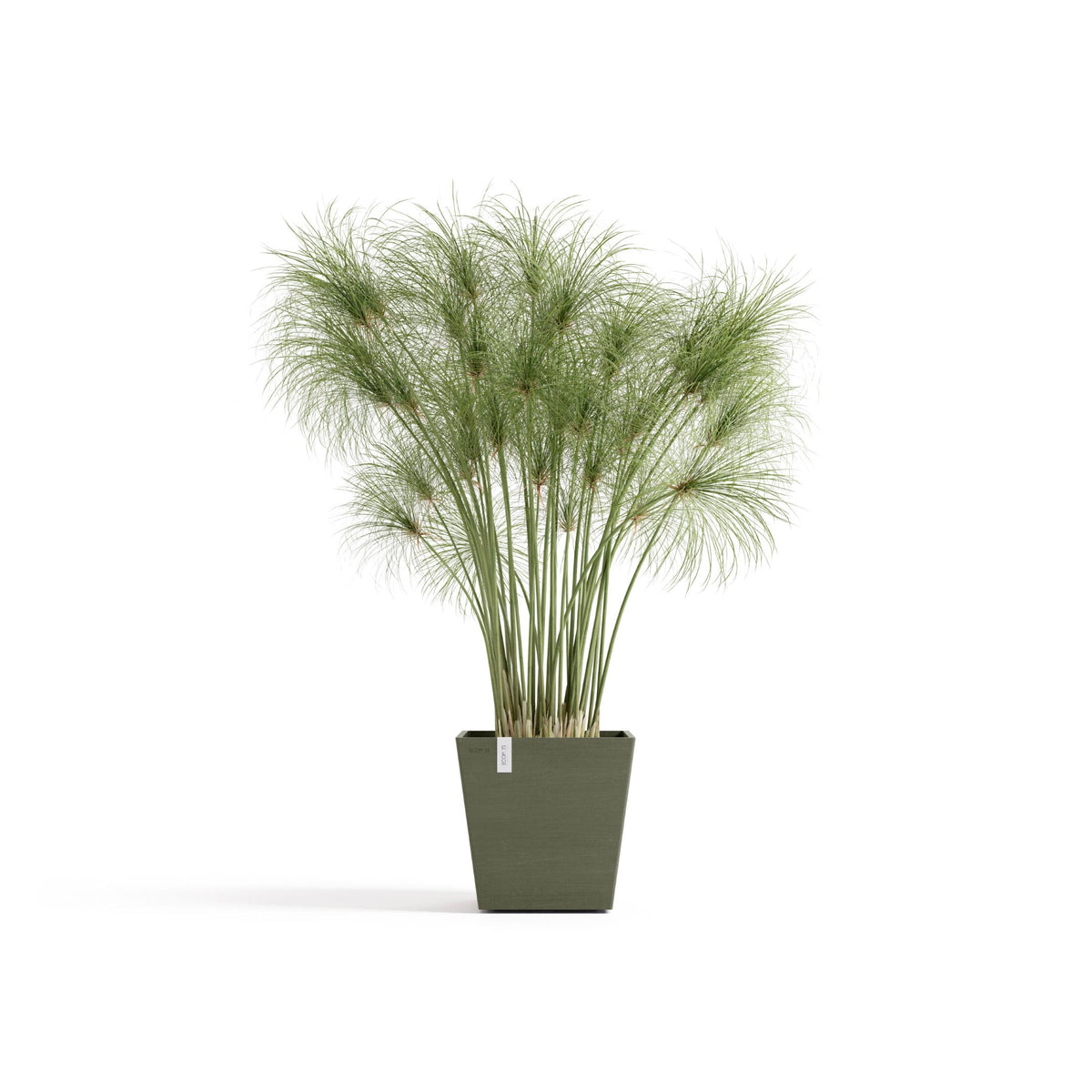 Kukkaruukku Rotterdam design 25cm kaki – kasvin kanssa