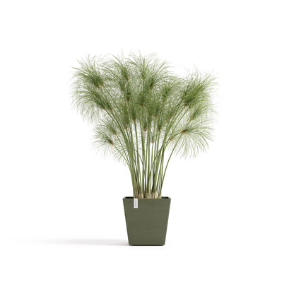 Kukkaruukku Rotterdam design 25cm kaki – kasvin kanssa
