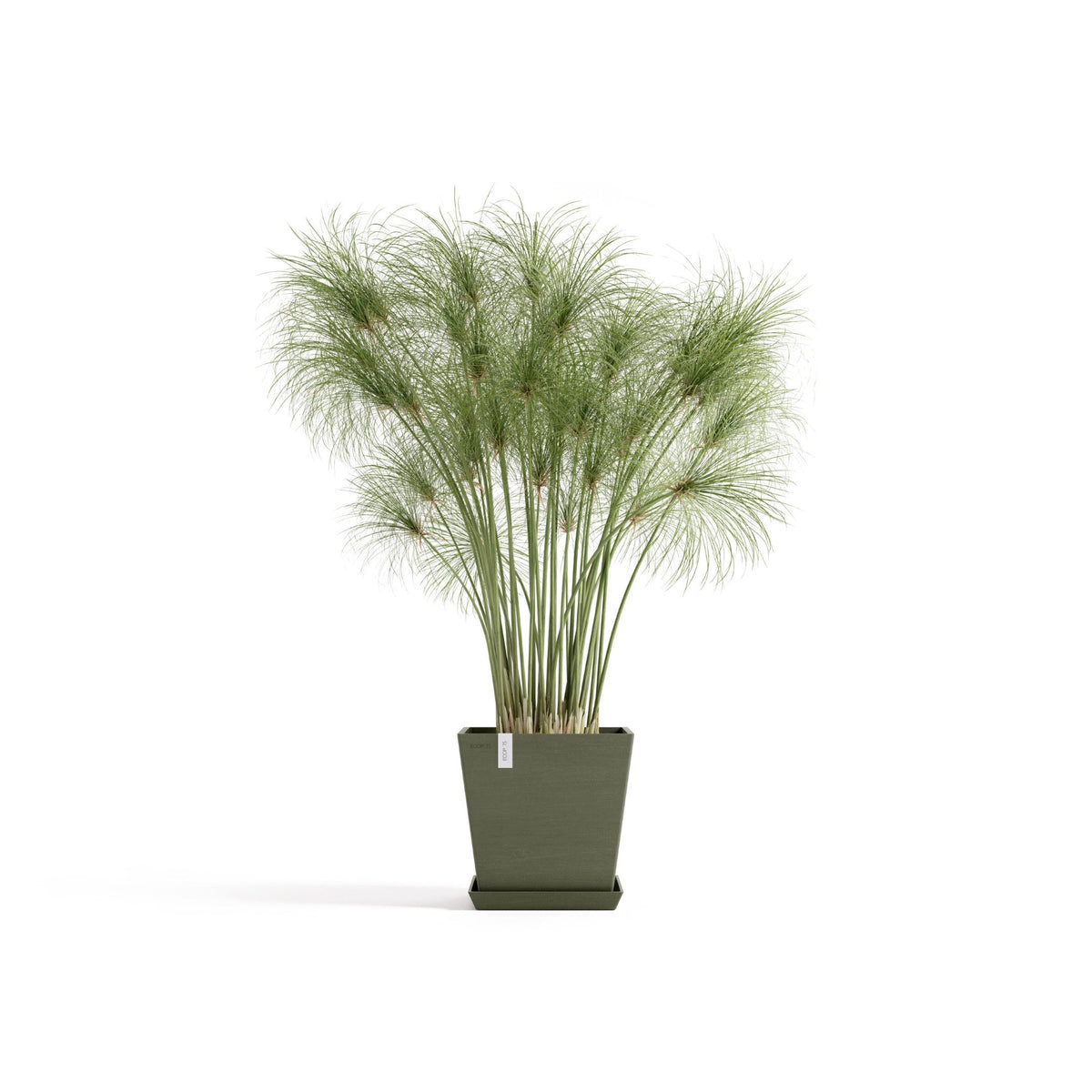 Kukkaruukku Rotterdam design 25cm kaki – aluslautasen ja kasvin kanssa