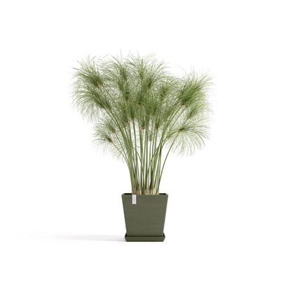 Kukkaruukku Rotterdam design 25cm kaki – aluslautasen ja kasvin kanssa