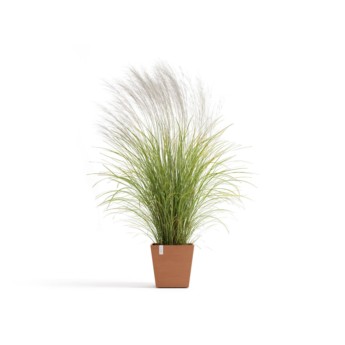 Kukkaruukku Rotterdam design 35cm terracotta – kasvin kanssa