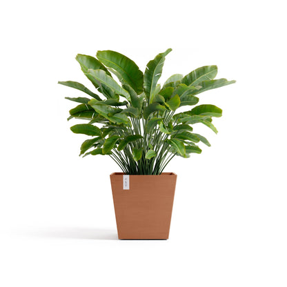 Kukkaruukku Rotterdam design 45cm terracotta – kasvin kanssa