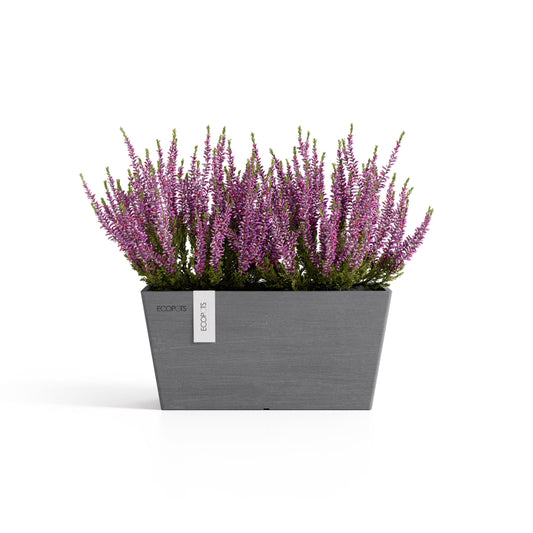 Kukkaruukku Bruge 35cm harmaa N – kasvin kanssa