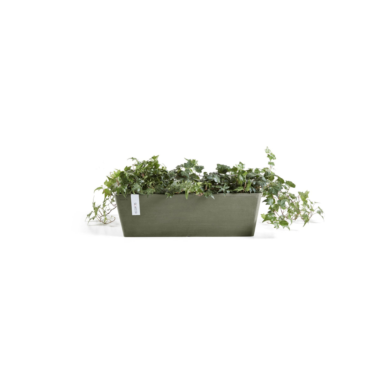 Kukkaruukku Bruge 45cm kaki – kasvin kanssa 2