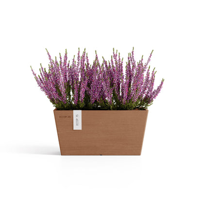 Kukkaruukku Bruge 35cm terracotta N – kasvin kanssa