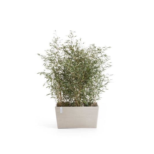 Kukkaruukku Pariisi 80cm hiekka – kasvin kanssa