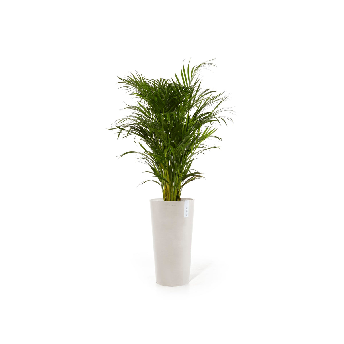 Kukkaruukku Amsterdam keskikorkea 66cm hiekka – kasvin kanssa