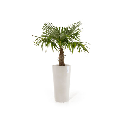 Kukkaruukku Amsterdam keskikorkea 66cm hiekka – kasvin kanssa 2