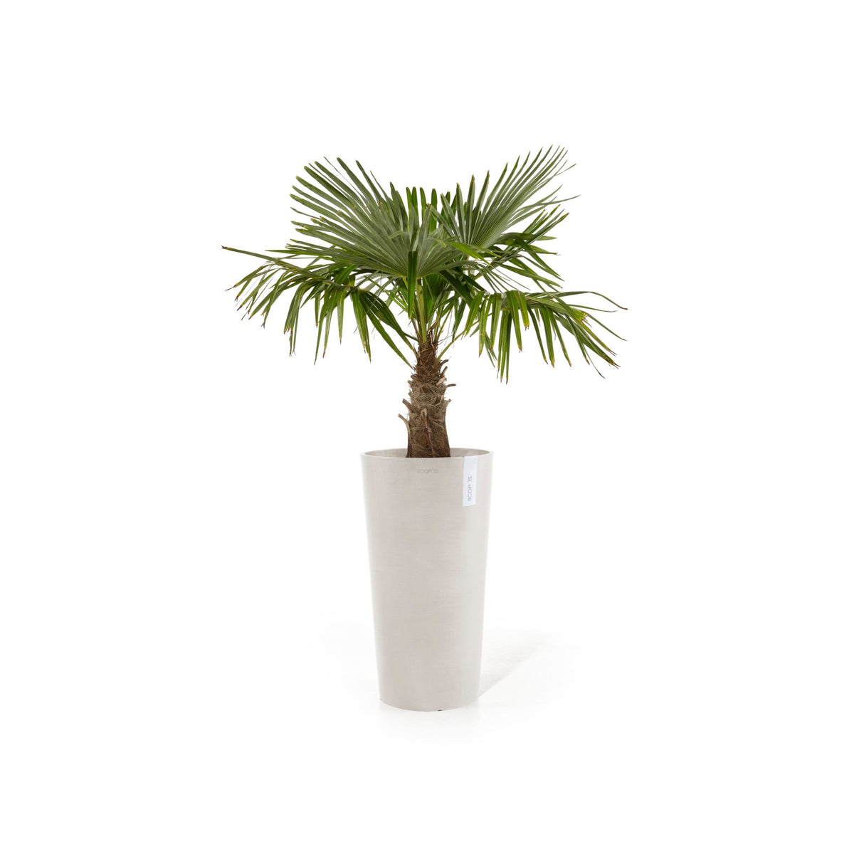 Kukkaruukku Amsterdam korkea 76cm hiekka – kasvin kanssa 2
