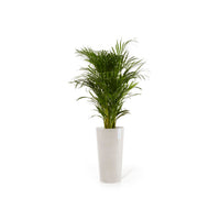 Kukkaruukku Amsterdam korkea 90cm hiekka
