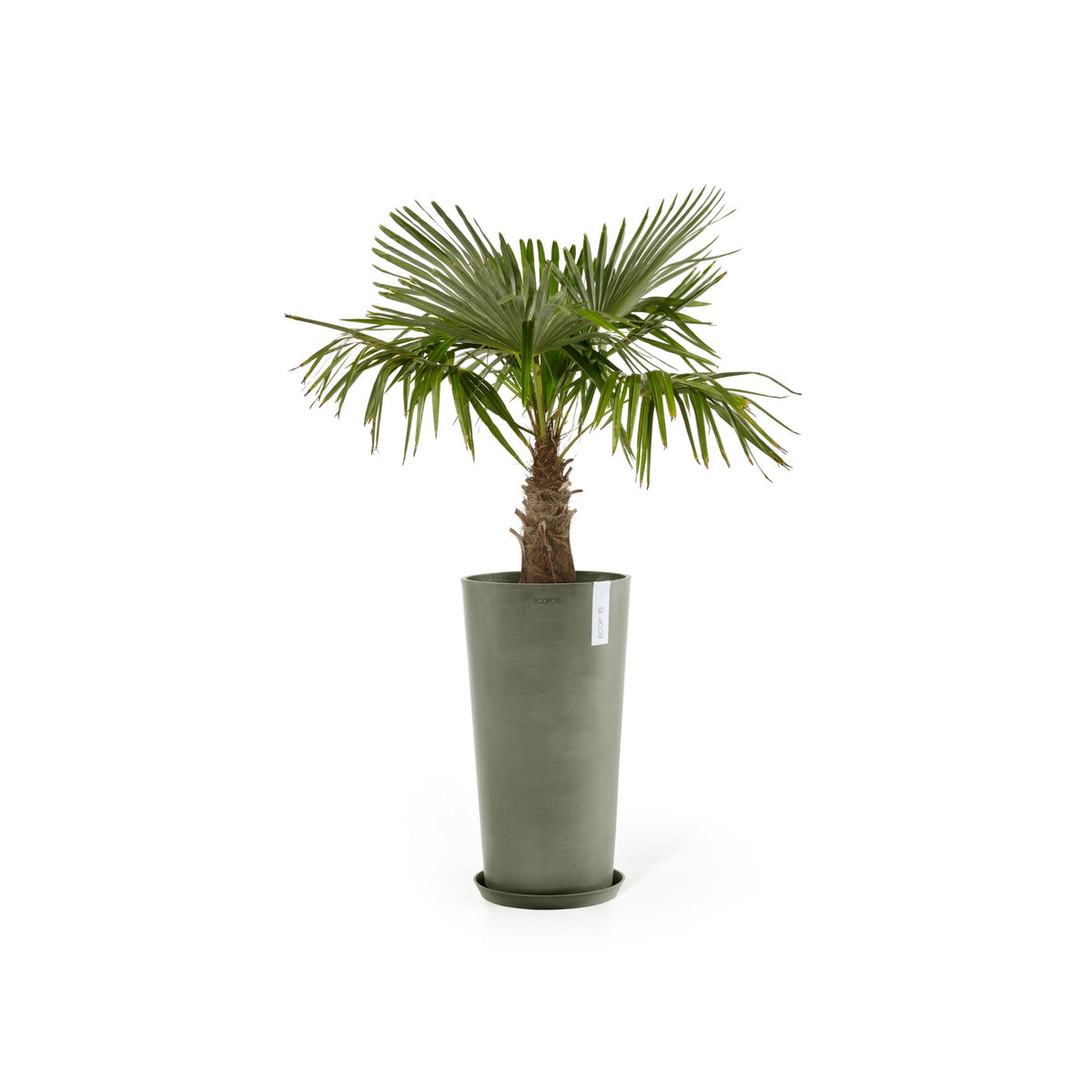 Kukkaruukku Amsterdam korkea 76cm kaki – aluslautasen ja kasvin kanssa 2