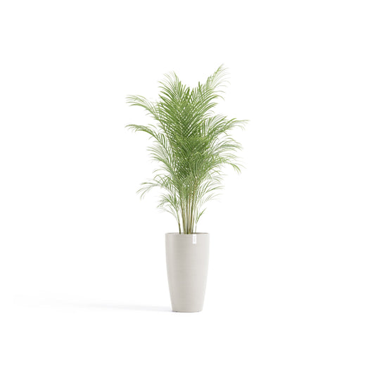 Kukkaruukku Tukholma korkea 60cm hiekka – kasvin kanssa