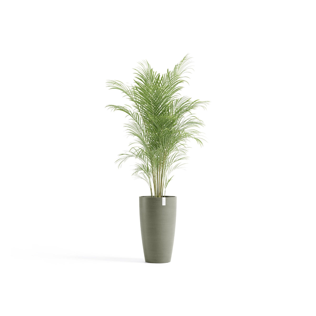 Kukkaruukku Tukholma korkea 60cm kaki – kasvin kanssa