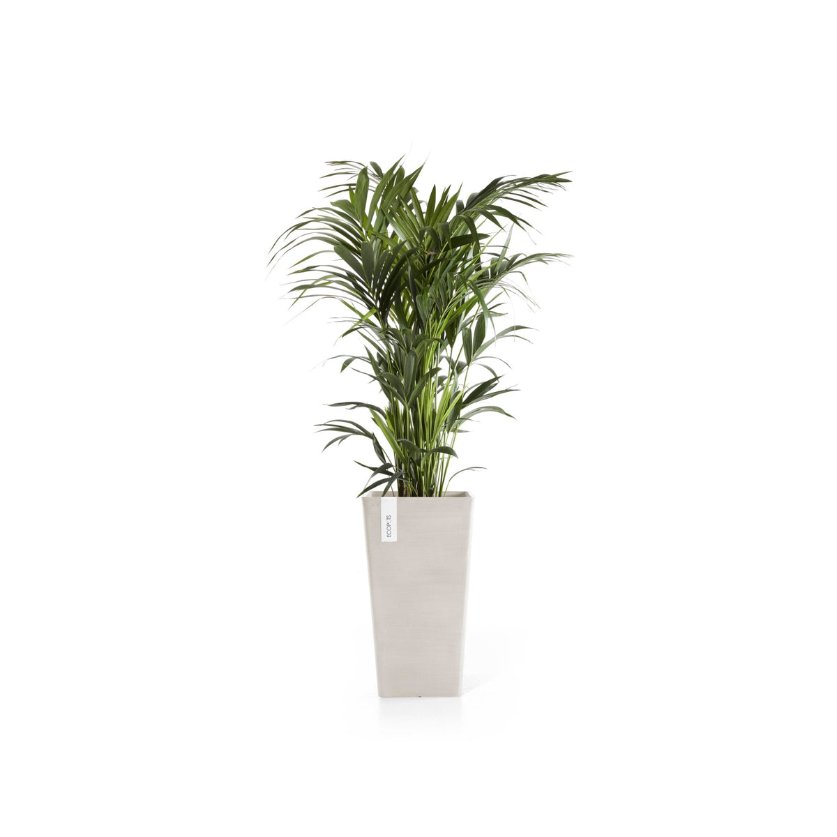 Kukkaruukku Rotterdam keskikorkea 56cm hiekka – kasvin kanssa 3