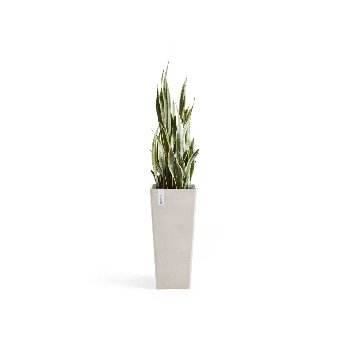 Kukkaruukku Rotterdam korkea 70cm hiekka – kasvin kanssa
