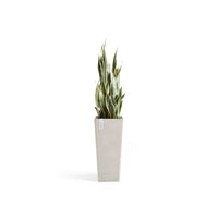 Kukkaruukku Rotterdam korkea 70cm hiekka