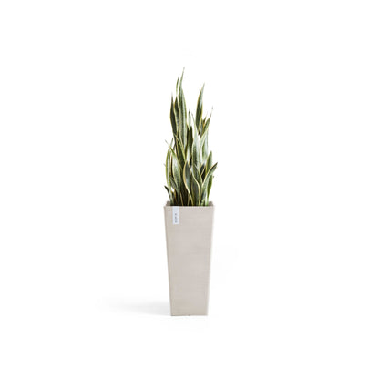 Kukkaruukku Rotterdam korkea 70cm hiekka – kasvin kanssa