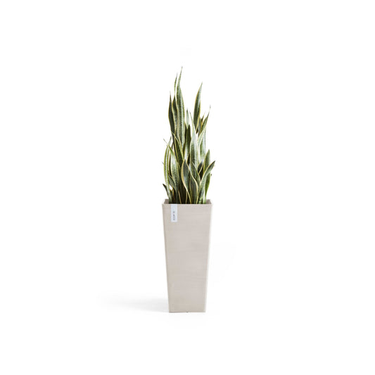 Kukkaruukku Rotterdam korkea 70cm hiekka – kasvin kanssa