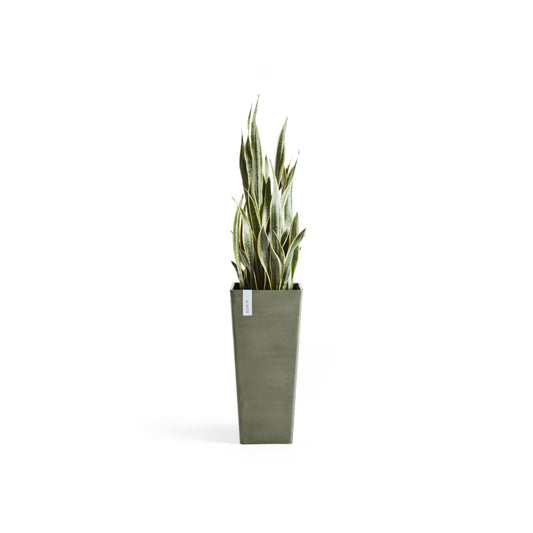 Kukkaruukku Rotterdam korkea 70cm kaki – kasvin kanssa