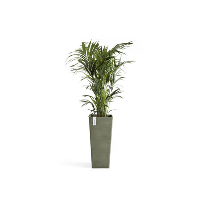 Kukkaruukku Rotterdam korkea 70cm kaki – kasvin kanssa 2