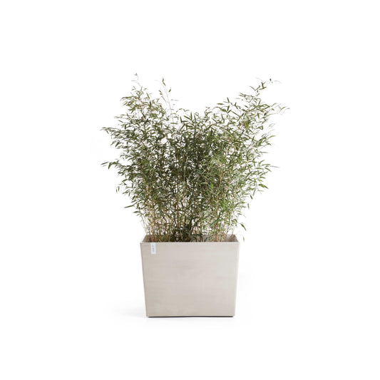 Kukkaruukku Pariisi pyörillä 85cm hiekka – kasvin kanssa