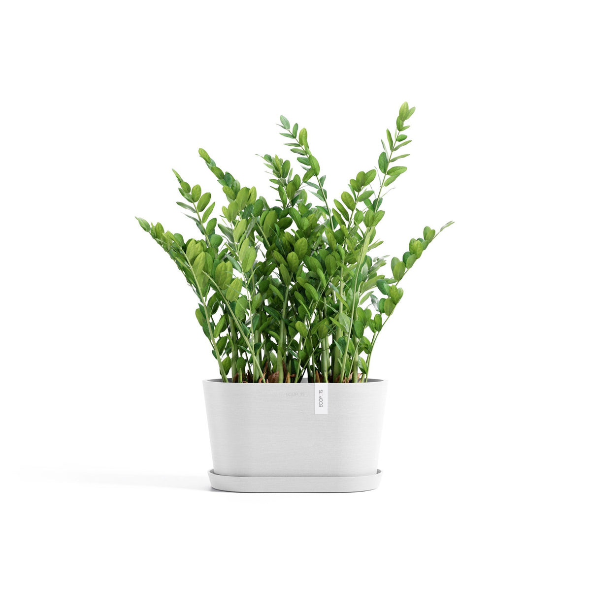 Kukkaruukku Tokio 30cm valkoinen – aluslautasen ja kasvin kanssa