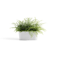 Lillepott Tokio 40cm valge