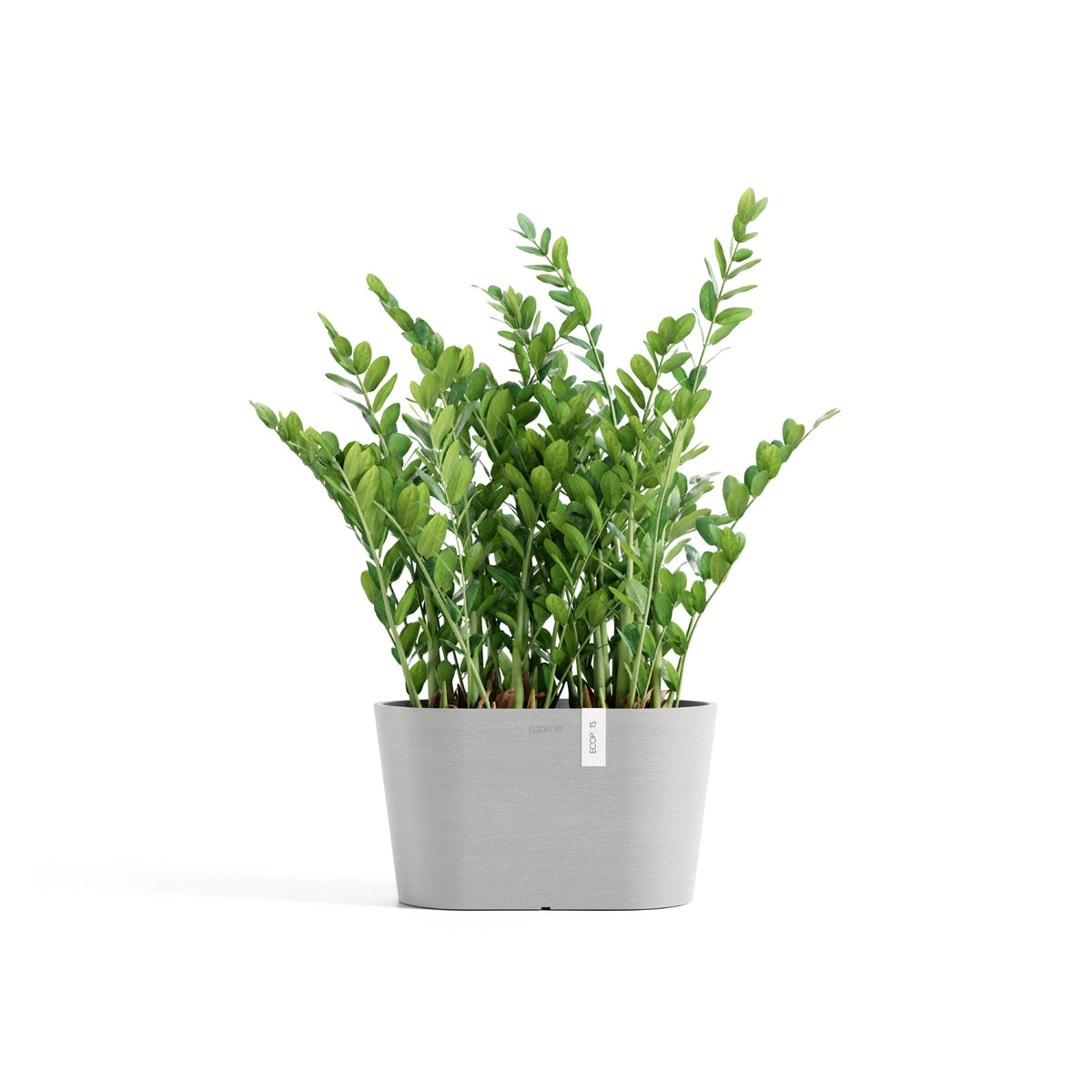 Kukkaruukku Tokio 30cm valkoharmaa – kasvin kanssa