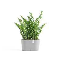 Lillepott Tokio 30cm valgehall