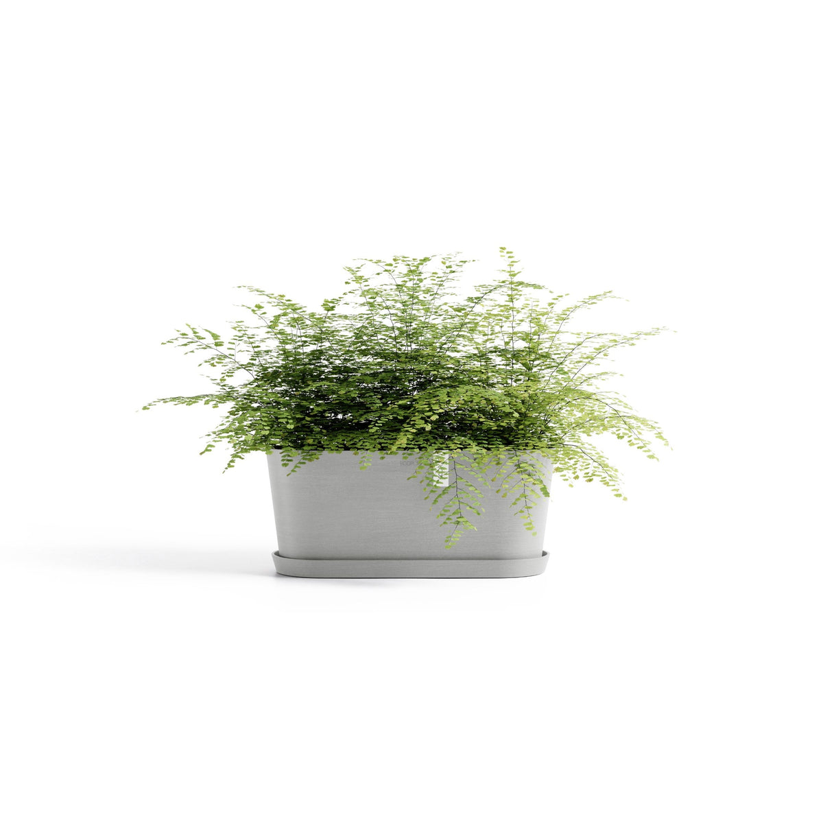 Kukkaruukku Tokio 40cm valkoharmaa – aluslautasen ja kasvin kanssa