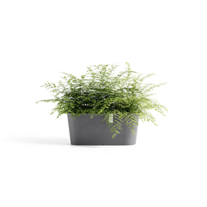 Lillepott Tokio 40cm hall