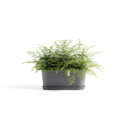 Lillepott Tokio 40cm hall