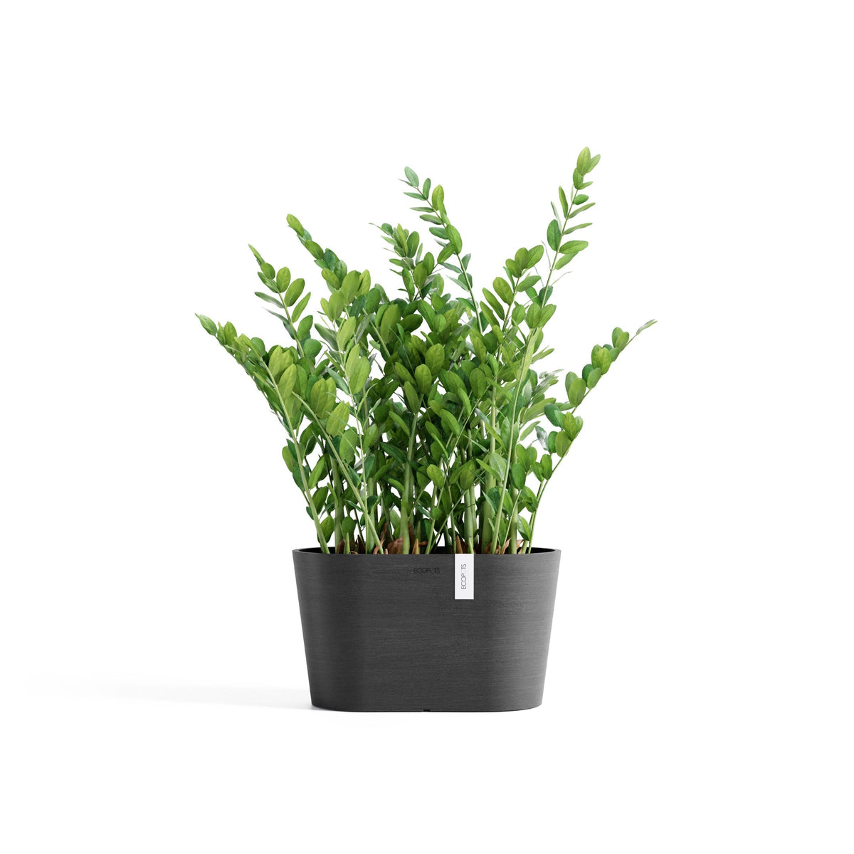 Kukkaruukku Tokio 30cm tummanharmaa – kasvin kanssa