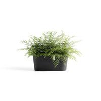 Lillepott Tokio 40cm tumehall