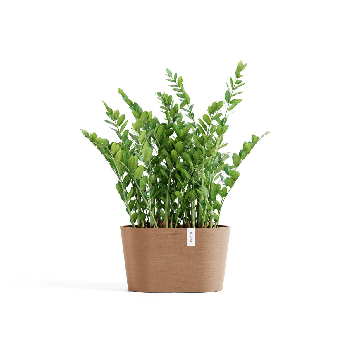 Kukkaruukku Tokio 30cm terracotta – kasvin kanssa