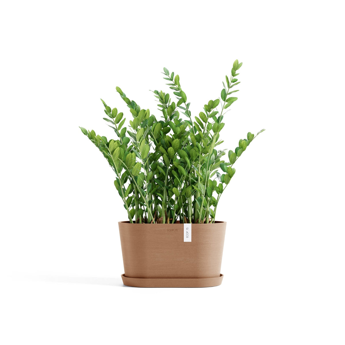 Kukkaruukku Tokio 30cm terracotta – aluslautasen ja kasvin kanssa